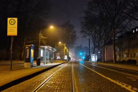 Im abendlichen Dämmerlicht: von Bäumen gesäumte Frankenthaler Straße an der Haltestelle Hauptfriedhof.