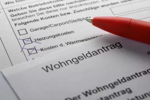 Hürden abbauen und beim Ausfüllen von Anträgen helfen soll ab kommendem Jahr ein mobiler Berater in Ludwigshafen. 