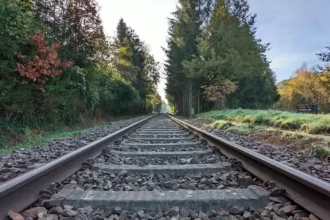 In der Woche vor Weihnachten fallen auf mehreren Regionalbahn-Linien in der Westpfalz Züge aus.
