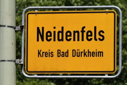 Fasnacht in Neidenfels: Kandidaten auf dem Prüfstand - Aktuelle Nachrichten  aus der Pfalz - DIE RHEINPFALZ