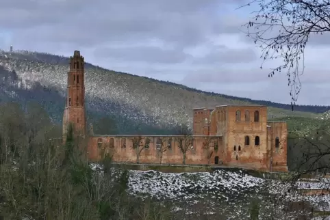Ein Blick auf das winterliche Kloster Limburg. 
