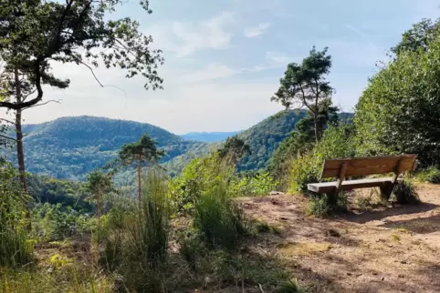 Auch im kommenden Jahr dürfen sich die Ludwigshafener auf viele Angebote der insgsamt vier Ortsgruppen des Pfälzerwald-Vereins f