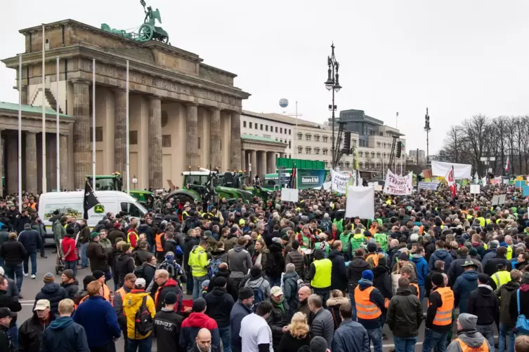 Protest in Berlin am Montag: Speyerer Bauern waren nicht dabei, zeigen sich aber solidarisch.