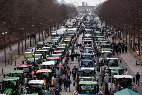 Der Traktor ist das Symbol der modernen Landwirtschaft. Als imposant beschreiben Westpfälzer Demonstrationsteilnehmer die Parade