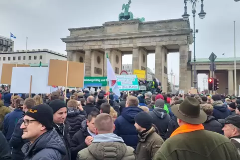 Tausende wütende Bauern haben bei der Demo in Berlin ihrem Ärger Luft gemacht. 
