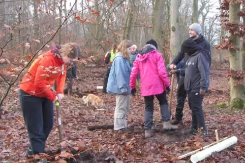 Mit Begeisterung sind die Helferinnen und Helfer bei der Baumpflanzaktion im Kandeler Stadtwald dabei. 