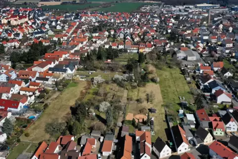 Das Gebiet „Schindkaut“, über dessen Bebauung diskutiert wird, gelegen zwischen Lillengasse (Vordergrund), der Gärtnerstraße (li