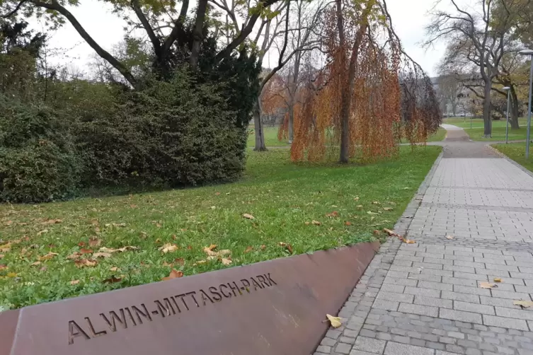 Ein Bauprojekt im Friesenheimer Alwin-Mittasch-Park erhitzt die Gem&uuml;ter.