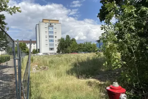 Hier stand früher das Schwesternhaus. Nachdem sich die Pläne für das Ärztehaus zerschlagen haben, wird die Fläche noch eine Weil