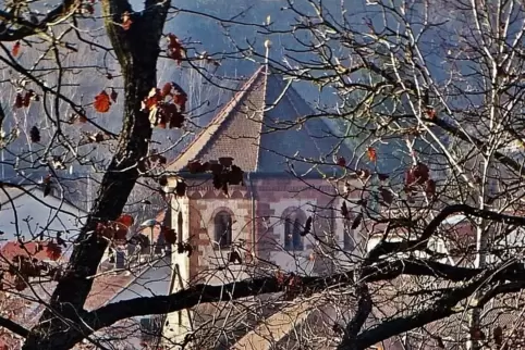 Blick auf den Vierungsturm der Seebacher Klosterkirche.