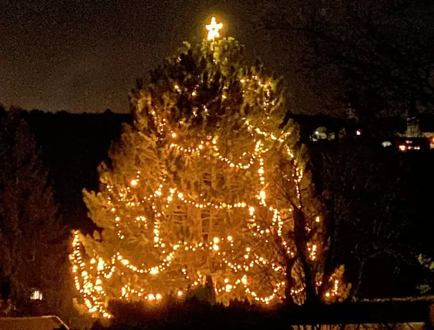 Dieser prächtig geschmückte Weihnachtsbaum steht in einem Garten in Harxheim und ist wegen seiner enormen Größe im Dunklen auch