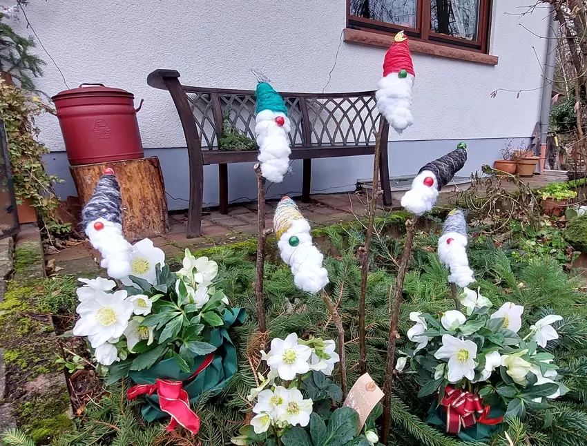 Lustige selbstgemachte Weihnachtswichtel hat Petra Ochßner dieses Jahr in ihrem Garten in Harxheim aufgestellt.