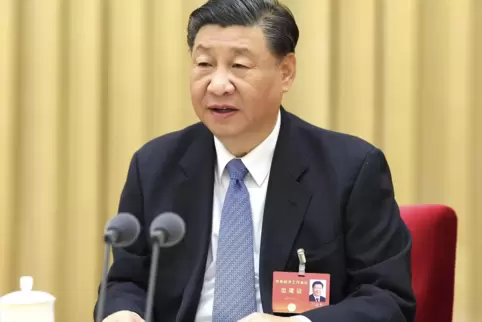 Chinas Präsident Xi Jinping sieht Brics als „Kraft für Frieden und Entwicklung“.