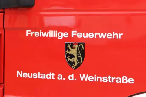 Ein Bürger alarmierte die Feuerwehr. 
