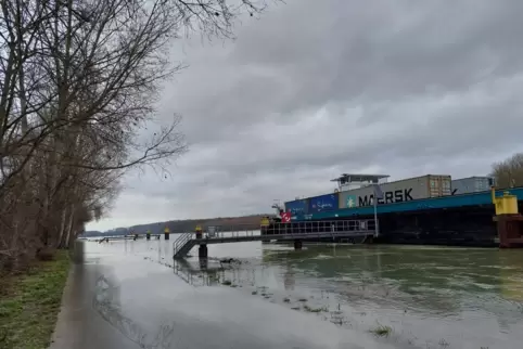Der Leinpfad an der Alten Ziegelei in Sondernheim war am zweiten Weihnachtsfeiertag noch teilweise überflutet. 