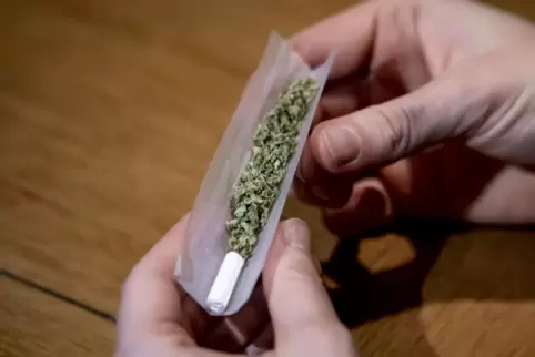 Cannabis: Die Droge wird zum Beispiel fürs Drehen von Joints genutzt. Ein Speyerer ist wegen unerlaubten Besitzes des Betäubungs