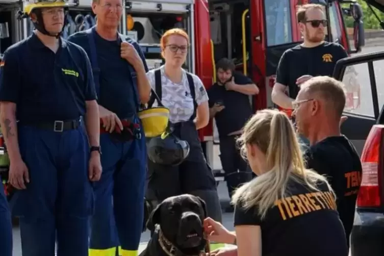 Wie man Tiere aus gefährlichen Situationen rettet, will geübt sein. Daher gibt es Übungseinsätze mit THW und Feuerwehr. Mit dabe