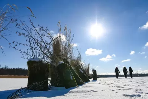 Ein Spaziergang in der Wintersonne tut zwar gut, doch um den Vitamin-D-Speicher aufzufüllen, reicht die Strahlung kaum aus, da d