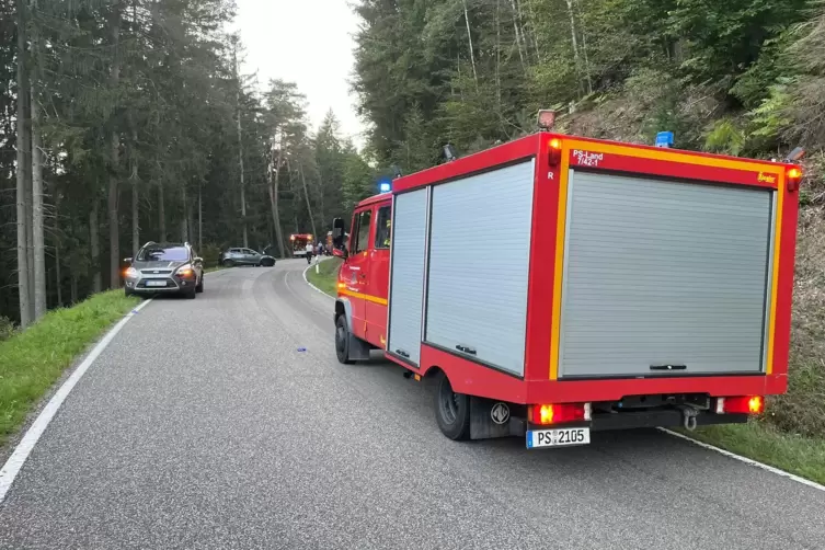 Dieses Foto hat die Feuerwehr Ruppertsweiler vom Unfallort am Braunsberg veröffentlicht.