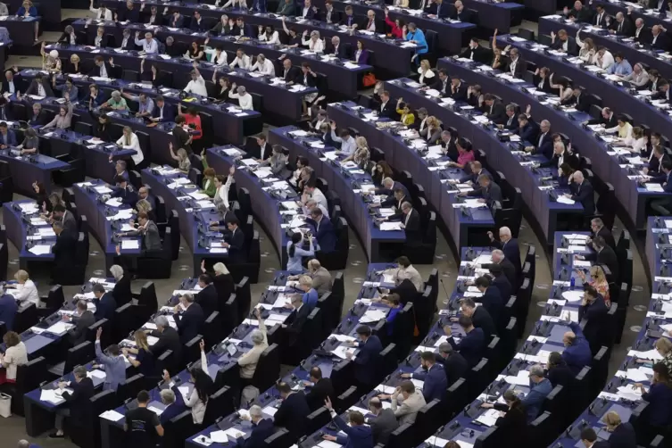 720 Abgeordnete, darunter 96 aus Deutschland, werden dem neuen Europaparlament angehören.