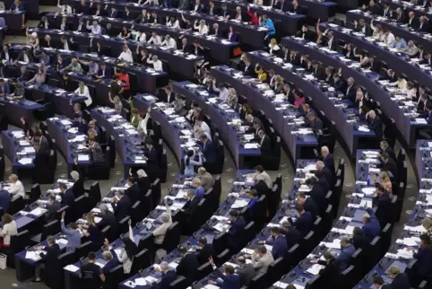 720 Abgeordnete, darunter 96 aus Deutschland, werden dem neuen Europaparlament angehören.