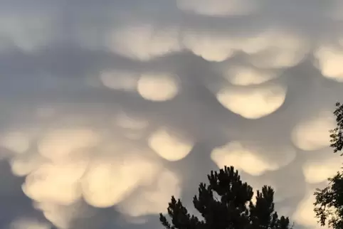 Ein Wetterphänomen am Sommerhimmel überm Leiningerland. Wie werden die Wolken von Meteorologen genannt?