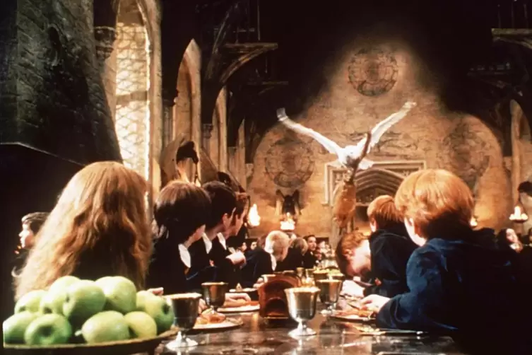 „Hedwig’s Theme“ ist von John Williams komponiert und das Leitmotiv der Harry-Potter-Filme. Es war im Konzert im Rosengarten zu 