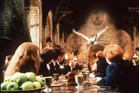 „Hedwig’s Theme“ ist von John Williams komponiert und das Leitmotiv der Harry-Potter-Filme. Es war im Konzert im Rosengarten zu 