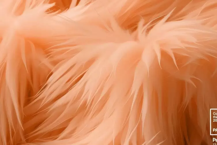 Wie eine &bdquo;taktile Umarmung&ldquo;: Die Trendfarbe soll K&ouml;rper, Geist und Seele bereichern.