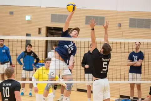 Die Volleyballer aus Germersheim müssen am Samstag nach Bliesen fahren. 