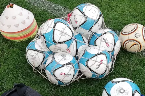 Bälle, Hütchen, Leibchen: Das alles können Vereine als Prämie vom DFB bekommen, wenn sie beim „Punktespiel“ des Fußball-Dachverb