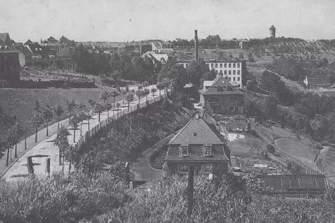 1920 wurde die Strobelallee angelegt, zunächst als „Friedensallee“ geführt – benannt nach dem Frieden von Versailles 1919. Im Ja