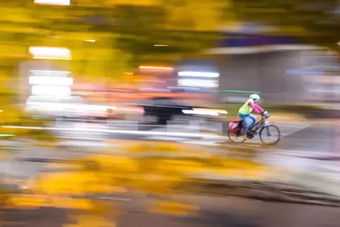 Auf der Route zwischen Speyer und Wörth sollen Radfahrer schnell vorankommen. 
