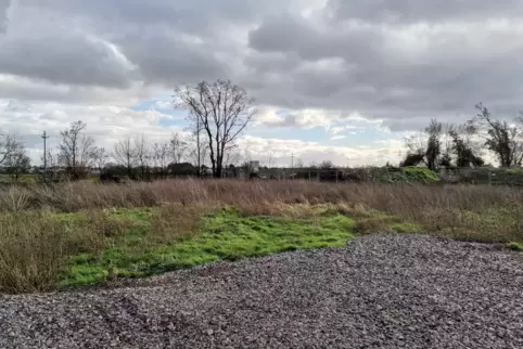 Auf dieser Fläche im Gewerbegebiet „Östlich der Assenheimer Straße“ im Ortsteil Gronau werden statt der Gronauer Feuerwehr erst 