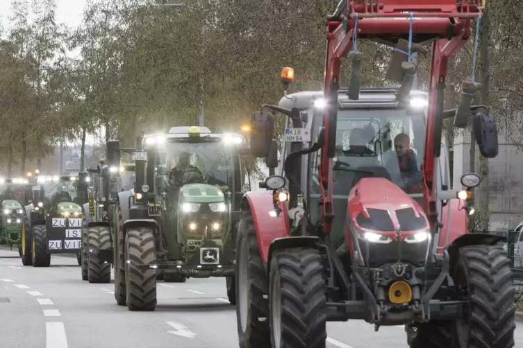Am Freitag vergangener Woche protestierten die Bauern in Kaiserslautern. Am Montag wollen sie auch in Zweibrücken wichtige Knote