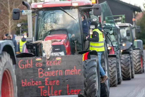 Die bundesweite Protestwelle erreicht am Montag auch Ludwigshafen. 