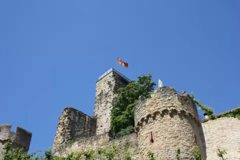 Im Zeichen der Wachtenburg steht die gleichnamige Genossenschaft. 