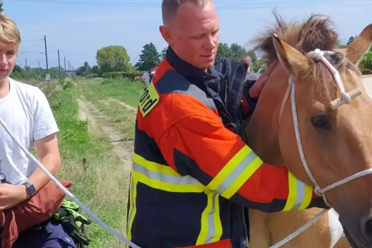 Der Zugf&uuml;hrer des L&ouml;schzugs Mu&szlig;bach, Christoph Schwarztrauber, als &bdquo;Pferdefl&uuml;sterer&ldquo; Ende August . Die Tiere waren der Bahnlinie