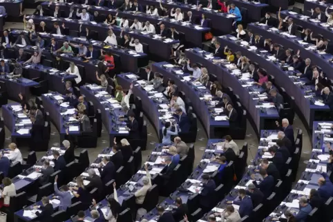 Im Europaparlament in Straßburg sitzen für die SPD Rheinland-Pfalz derzeit Katarina Barley und Karsten Lucke. 