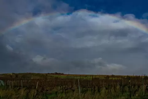 Auf Regen folgt Sonnenschein – und mit etwas Glück ein solch schöner Regenbogen, wie ihn RHEINPFALZ-Leser Volker Fleckser zwisch