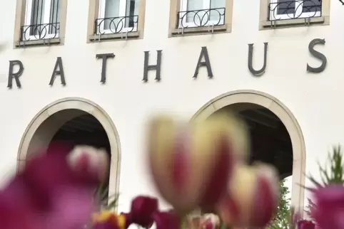 Die JU tritt vor der Kommunalwahl wieder geeint auf. 