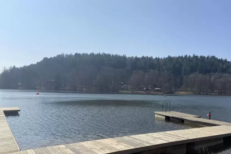 Einige Kinder retteten im Sommer einen Schwimmer im Gelterswoog vor dem Ertrinken. 
