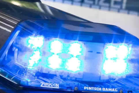 Bei diesem Unfall war die Polizei der Geschädite (Symbolfoto).