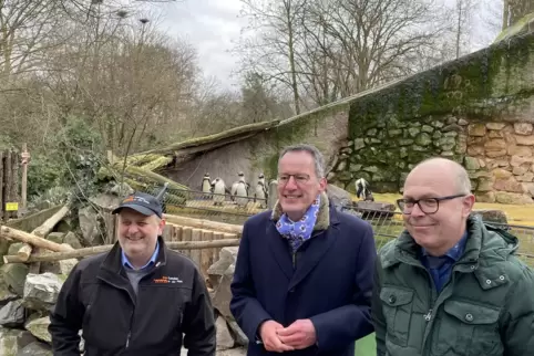 Gruppenbild mit Humboldt-Pinguinen (von links): Zoodirektor Jens-Ove Heckel, Innenminister Michael Ebling und Oberbürgermeister 