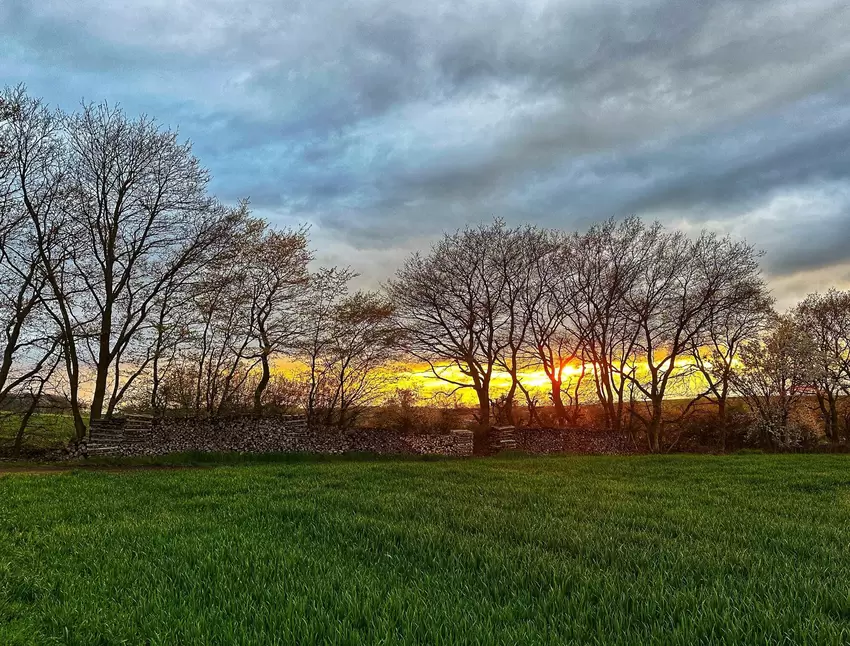 Den Sonnenuntergang Richtung Nordpfälzer Bergland fand Melanie Grosser aus Kriegsfeld besonders schön.