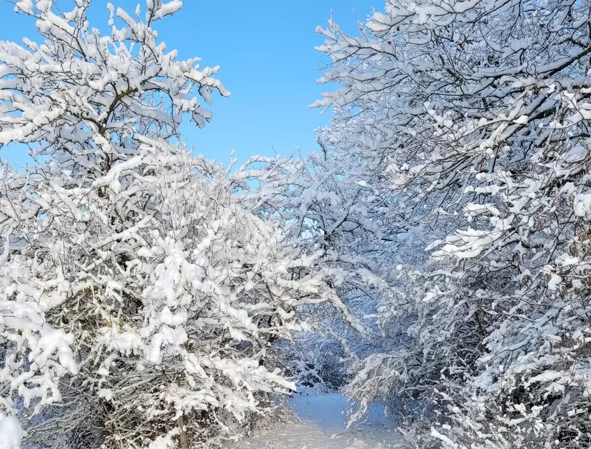 Kathrin Rhein hat ihren Moment des Jahres bereits im Januar festgehalten: "Bei traumhaftem Winterwetter konnten wir bei einem Sp