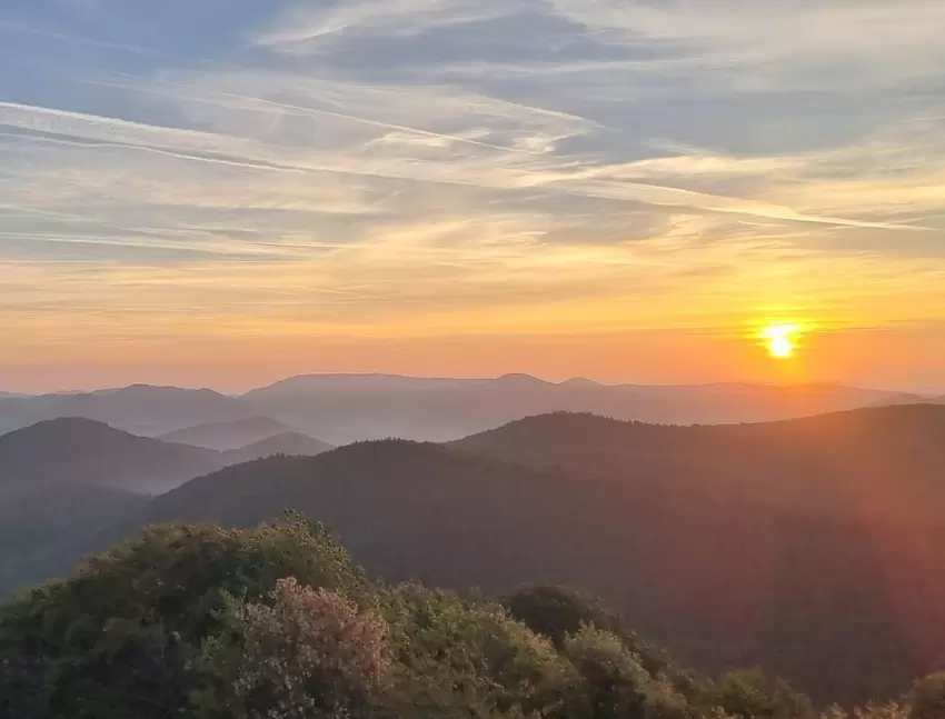 Von Schönborn nach Schönau hat es Gunter Neu Anfang Oktober verschlagen. Zur frühen Morgenstunde nahm er dieses Bild von der Weg