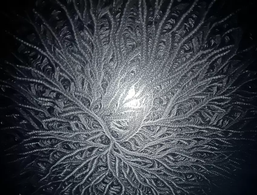 "Wenn der Mond im Hintergrund scheint und es draußen frostig ist, dann entfalten sich unbeschreiblich schöne Eiskristalle am Dac