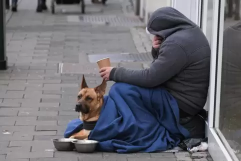 Der Verdacht der Tierschützer lautet: Organisierte Bettler leihen sich Hunde aus, um mehr Mitleid zu erregen. 