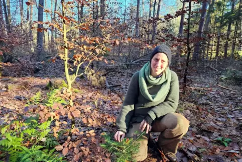 Isabelle Behret, Revierleiterin Jerusalemsberg-Leiningerwald, möchte die Naturverjüngung fördern.